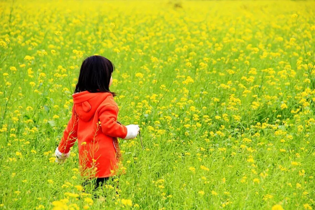 清明节的来历和风俗