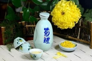 重阳节又叫什么节