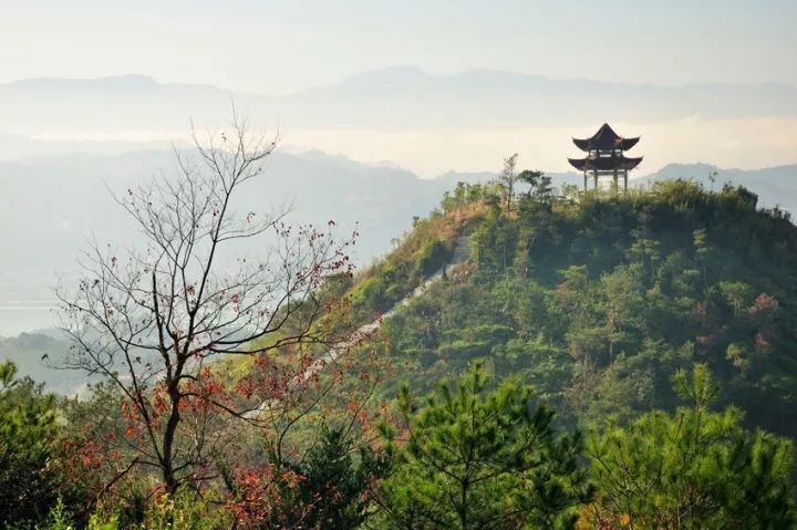 重阳节传统活动