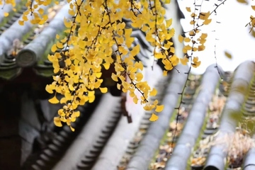 寒衣节祭祀的讲究