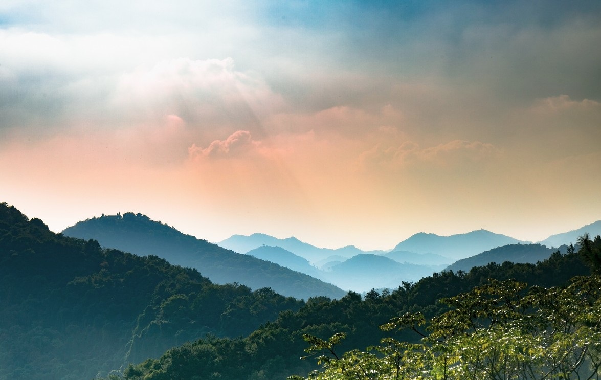 重阳节怎么过