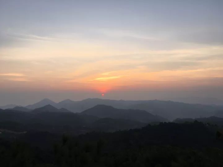 重阳节会干什么