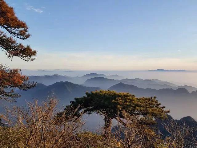 重阳节会干什么