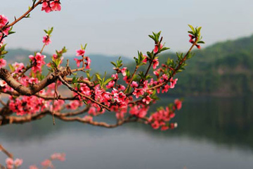 清明节扫墓时间