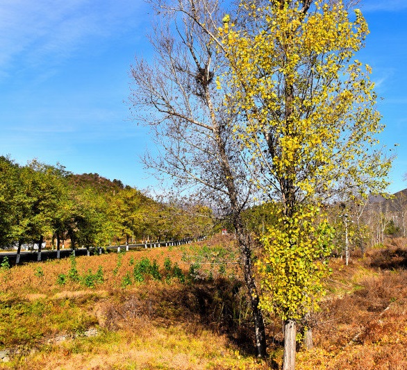 中元节是农历几月几日