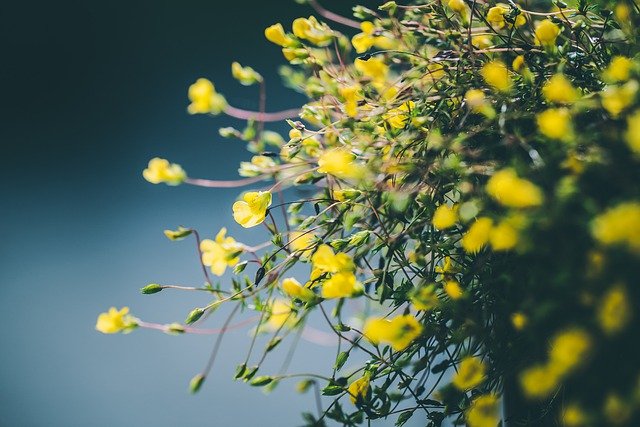 清明节烈士挽联