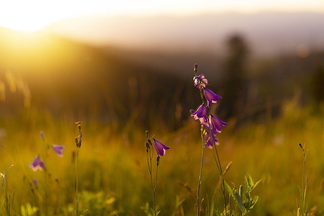 清明节花篮挽联大全