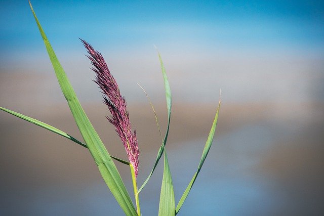 清明节花篮挽联