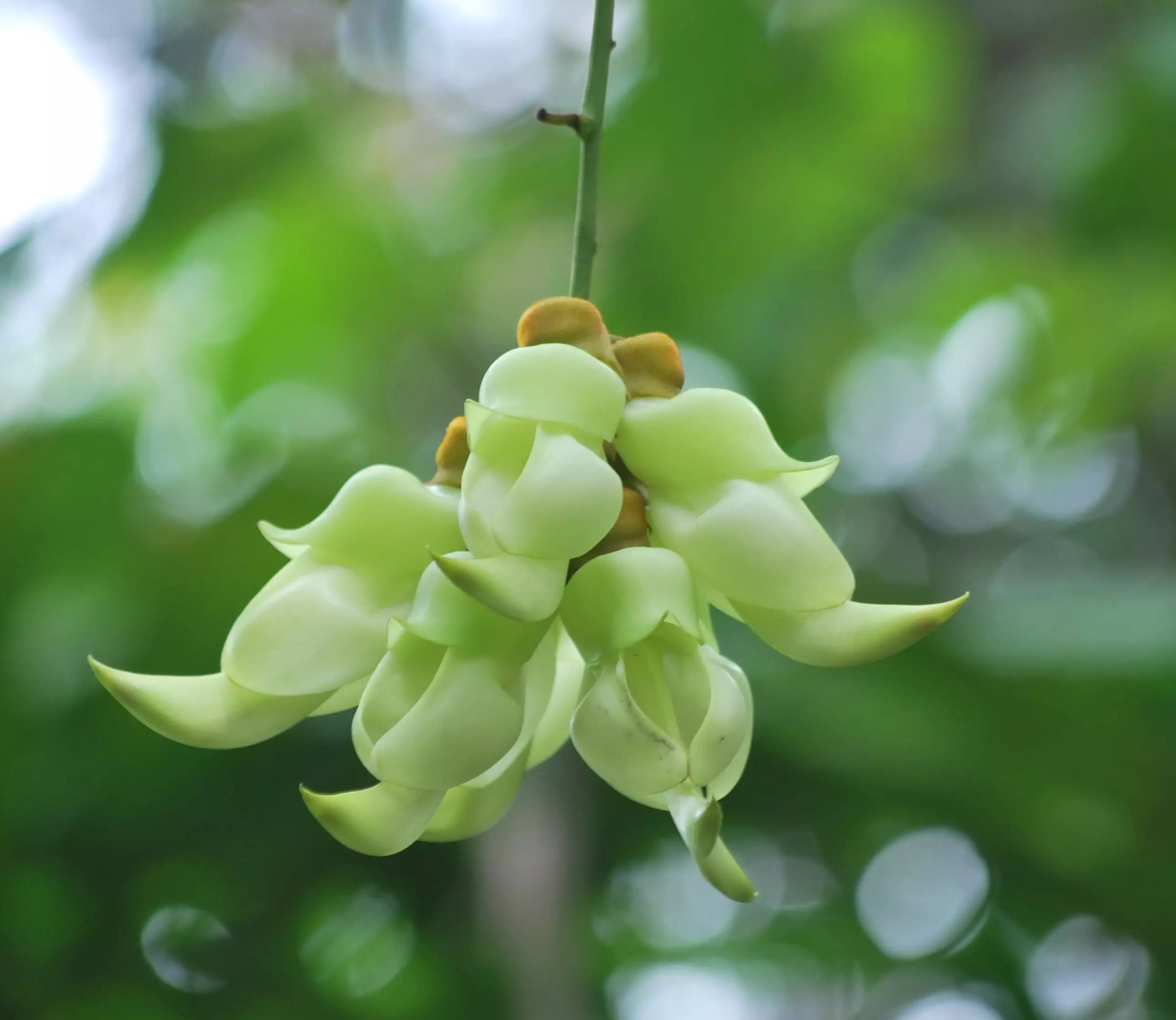 重阳节的别称或俗称