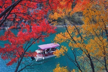 重阳节又被称为什么节日