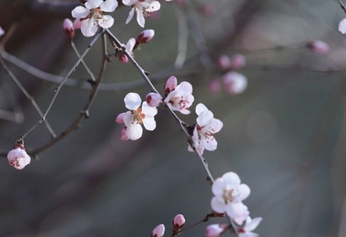 重阳节是不是祭祀节日