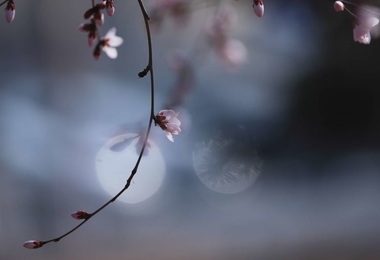 重阳节是不是祭祀节日