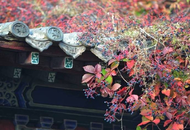 九月九日重阳节的来历