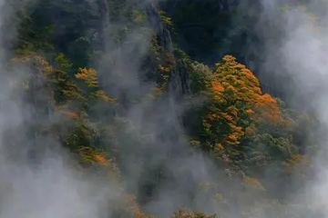 重阳节是啥意思的节日