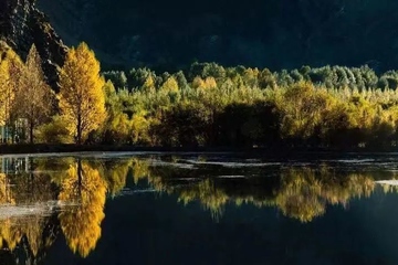 重阳节干什么活动