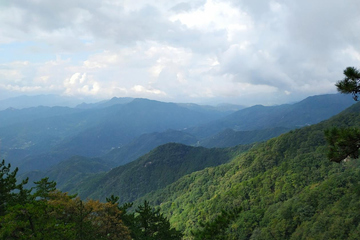 重阳节日里有哪些风俗