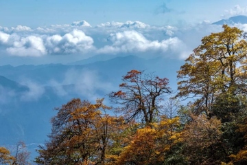 重阳节是从什么时候开始过的