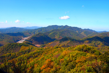 重阳节是登高节吗