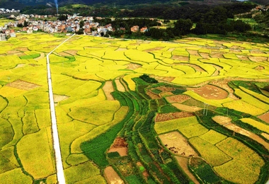 重阳节是给谁过的节日