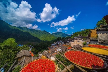 重阳节晒秋是什么习俗