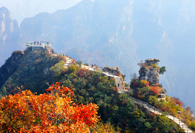 重阳节通常干什么