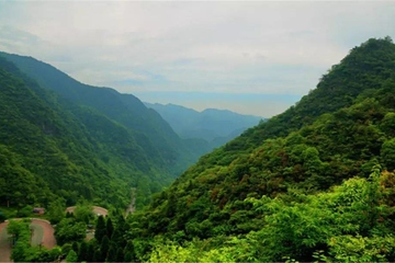 重阳节还可以叫什么节