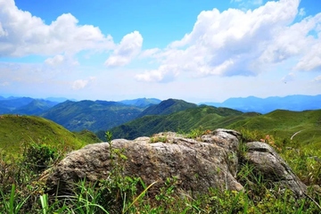 重阳节为什么去登高