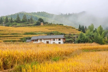 重阳节是不是敬老节