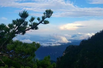 重阳节登高吗