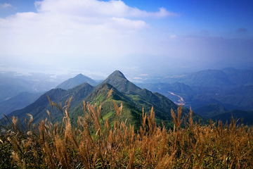 重阳节能干什么