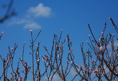 重阳节的时间