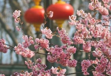 重阳节怎么庆祝