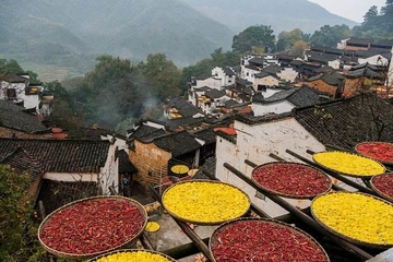 重阳节是传统节日吗