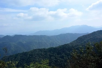 重阳节是传统节日吗