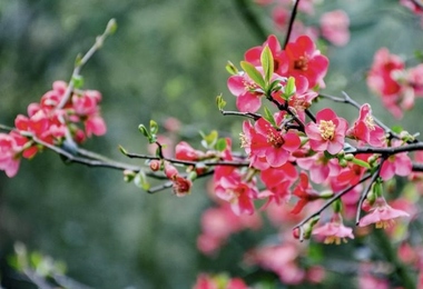 重阳节该干什么