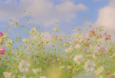 重阳节该干什么