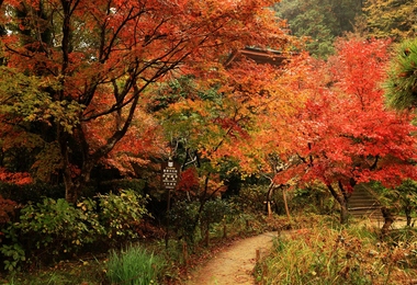 重阳节啥节日