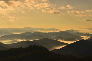 重阳节是干嘛的节日