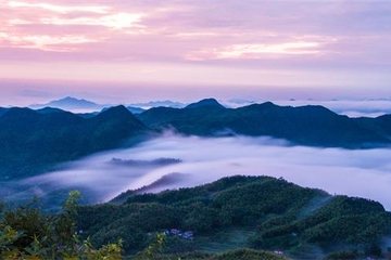 重阳节的民间活动都有哪些