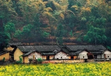 重阳节搞什么活动