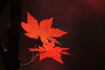 寒衣节祭祀的禁忌有哪些