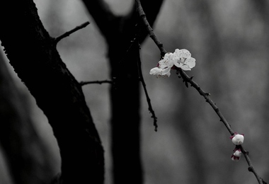 寒衣节的节日时间是什么