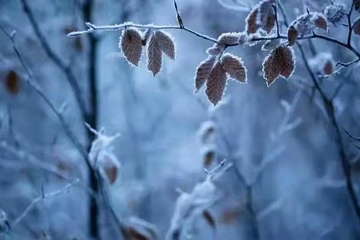 寒衣节烧寒衣是什么意思