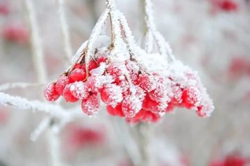 寒衣节什么时候成为节日