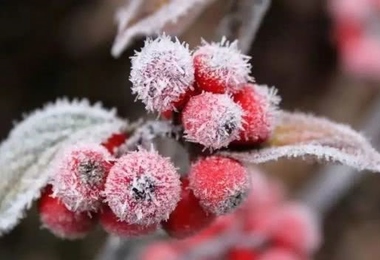 寒衣节都需要什么