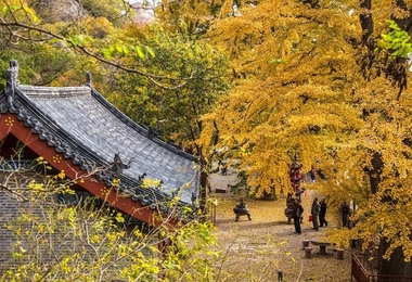 九月九重阳节