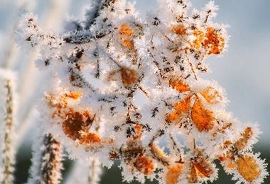 寒衣节如何祭祀