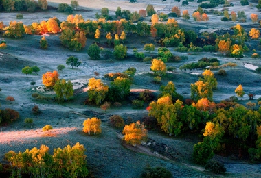 重阳节吉祥语