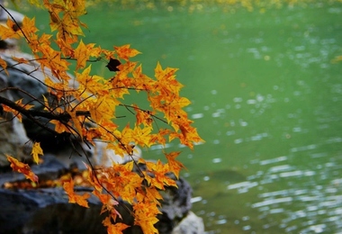 重阳节那一天的习俗