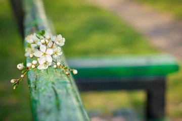 感恩节是什么季节的节日